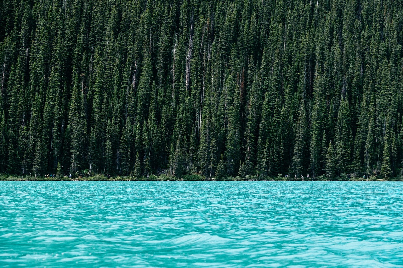 Clearly Tahoe Clear Kayak Tours